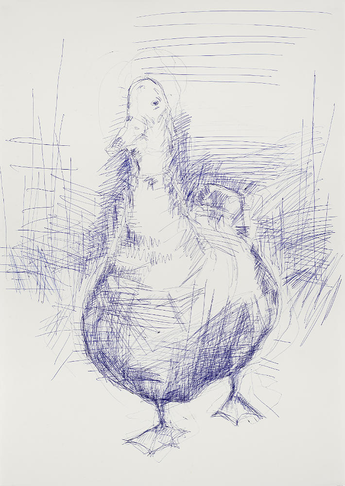 Ente mit Kugelschreiber gezeichnet